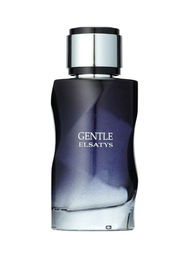 Reyane Tradition Gentle Elsatys EDP 100ml - 100ml