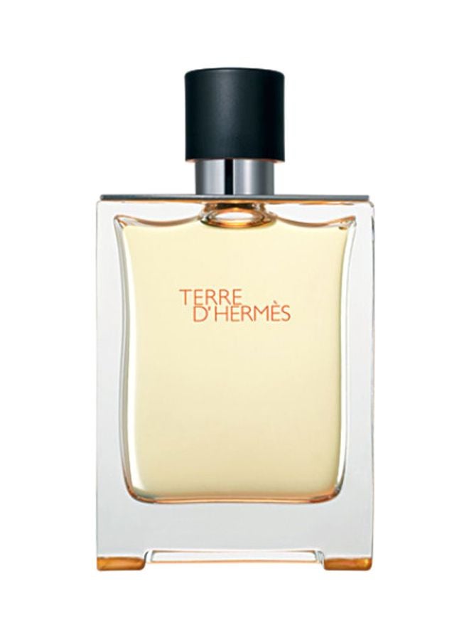 HERMES Terre D' Hermes EDT 100ml