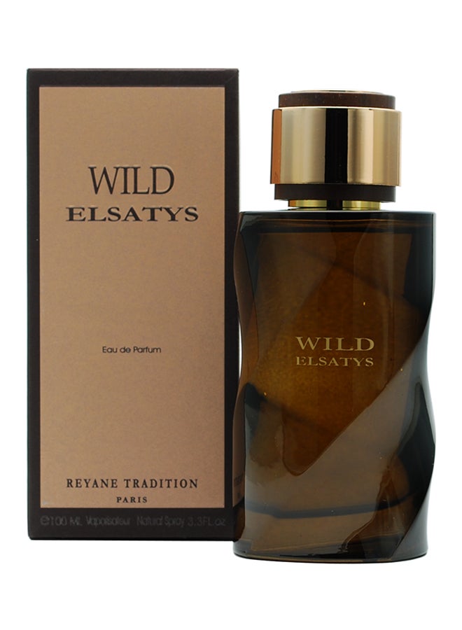 Reyane Tradition Wild Elsatys EDP 100ml